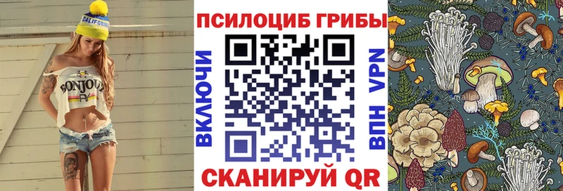 дарнет шоп  Усинск  Галлюциногенные грибы ЛСД 